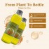 Private Label 100% Pure & Natural Fenugreek Oil for Ultra Curvy and Body Contouring Skin Nourishment 200ml