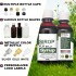 OEM/ODM Hot Sale Detox Flat Belly Syrup 200ml 100% Natural Ingredients Promote Natural Fat Burning