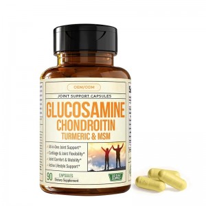 High Strength Joint Support Capsules Glucosamine Chondroitin MSM Turmeric Boswellia for Pain Relief Stiffness GMO-Free